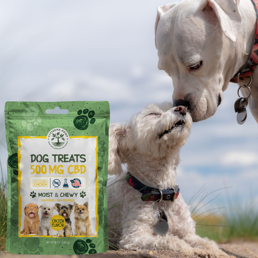 Chewy cbd dog outlet treats