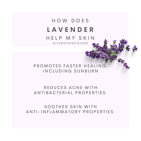 MOOD Skin Care Anti-Acne Lavender Face Serum